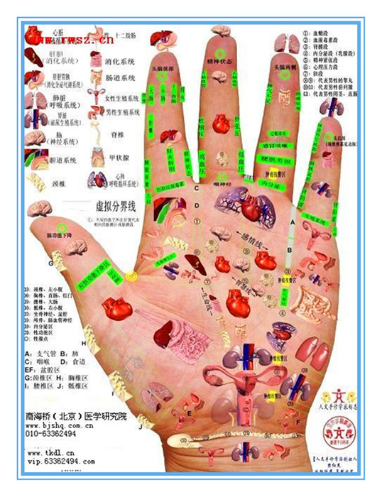 手指脚趾多揉揉,失眠头痛不用愁
